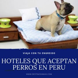 HOTELES QUE ACEPTAN PERROS EN EL PERU